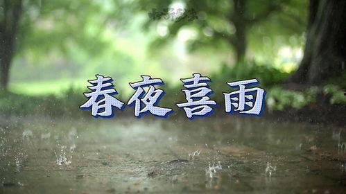 春夜喜雨视频,诗意盎然的雨夜奇观