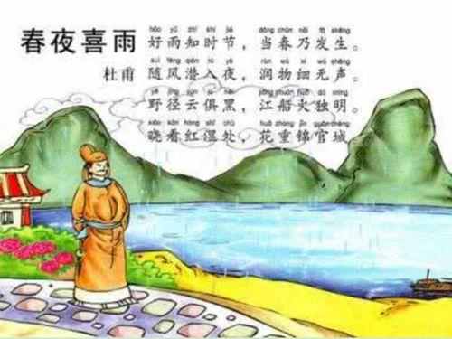 春夜喜雨视频,诗意盎然的雨夜奇观