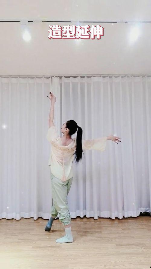 初级舞蹈教学视频,轻松入门，舞动人生