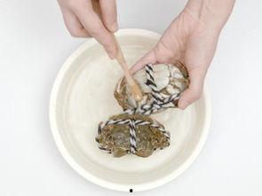 大闸蟹做法视频,视频教程详解