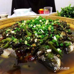 土鱼图片大全,探寻水族世界的多彩魅力
