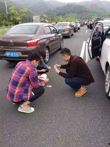 堵车小视频,捕捉交通高峰期的真实画面