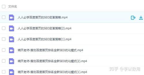 seo教程视频,从基础到进阶的搜索引擎优化策略解析