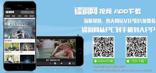 各大视频网站,热门内容、用户评价与行业趋势一览