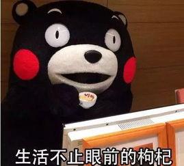 破包图片大全,揭秘日常生活中的意外瞬间