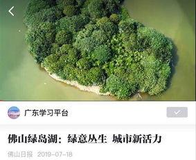 绿岛视频,揭秘生态保护与可持续发展新篇章