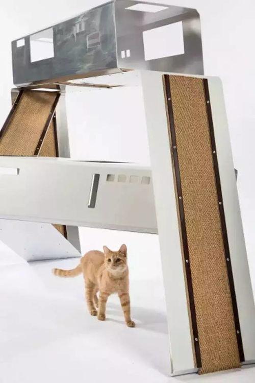 猫窝图片大全,猫窝图片大全里的温馨角落