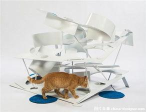 猫窝图片大全,猫窝图片大全里的温馨角落