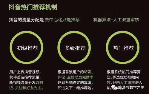 视频推荐算法,打造个性化观看体验的秘密武器
