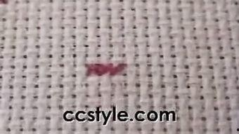 十字绣视频教学