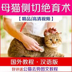 绝育手术视频,从术前准备到术后恢复