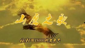 老鹰之歌视频,翱翔天际的壮美旋律