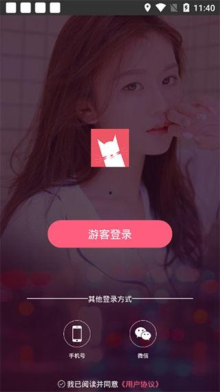 猫咪视频软件下载,捕捉萌宠瞬间，畅享欢乐时光