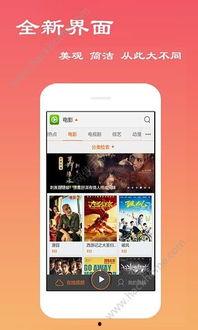 猫咪视频软件下载,捕捉萌宠瞬间，畅享欢乐时光