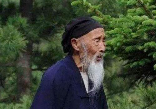 张至顺视频,揭秘传统养生智慧与人生哲理