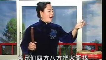 河南坠子大全视频,传承民间艺术，品味地方风情