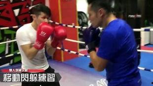 拳击躲闪教学视频,跟随教学视频轻松提升防守能力