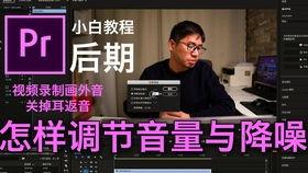 pr 视频降噪,PR软件降噪技巧解析