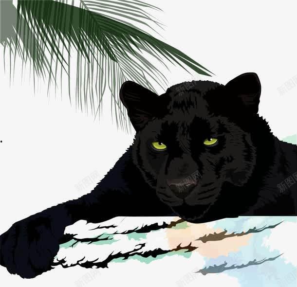 猎豹头像图片大全,探寻猎豹头像图片大全中的动物魅力