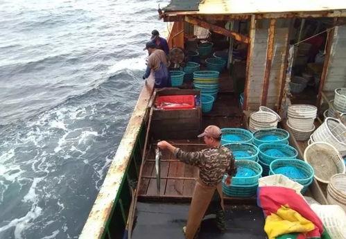 延绳钓视频,视频解析海洋捕捞新视角