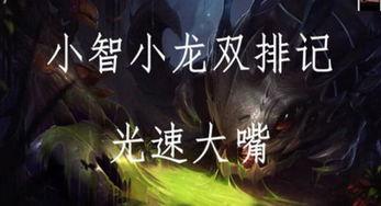 小智解说lol视频,精彩瞬间回顾，带你领略电竞魅力
