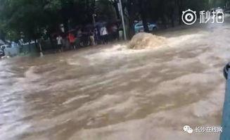 长沙暴雨图片大全,城市瞬间变泽国，惊心动魄瞬间大盘点