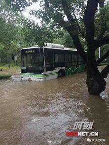 长沙暴雨图片大全,城市瞬间变泽国，惊心动魄瞬间大盘点