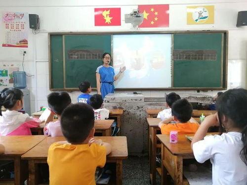 小学生教育视频,小学生教育视频精彩内容回顾