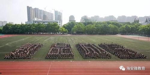 队形变换视频,探索队列艺术的魅力与技巧