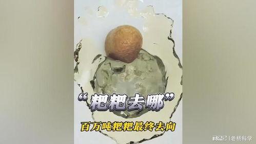拉粑粑的视频,拉粑粑视频背后的生活趣事