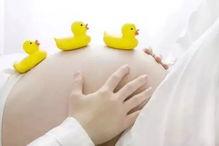 怀孕摸肚子视频,跟随视频感受宝宝成长的喜悦