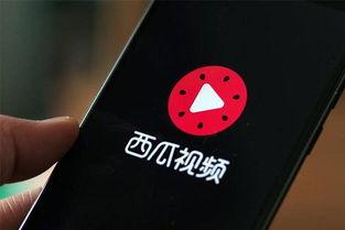 西瓜视频排名,热门视频背后的秘密解析
