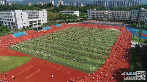彩带龙视频,一场视觉盛宴的精彩回顾