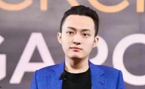 孙宇晨视频,区块链世界的未来与机遇