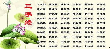 三字经视频全集,传承经典，启迪智慧