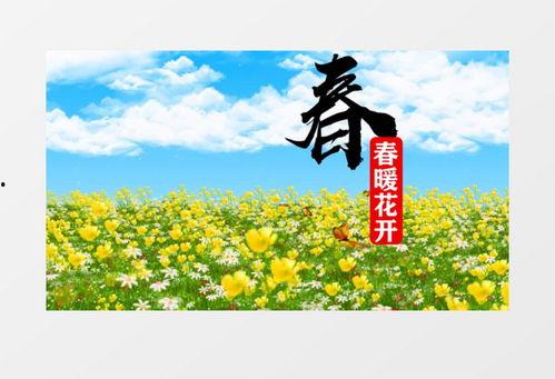春夏秋冬视频,春夏秋冬视频印象