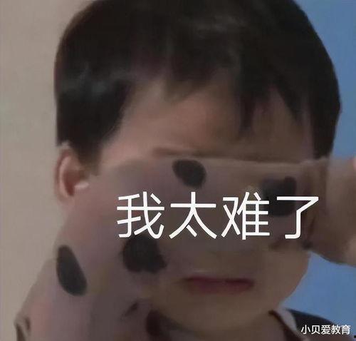 太难了视频,揭秘“太难了”视频背后的挑战与成长