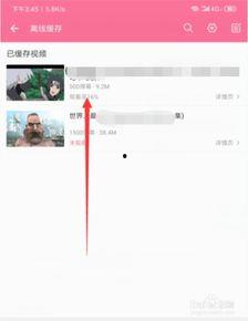 b站怎么下载视频手机,轻松保存心仪内容