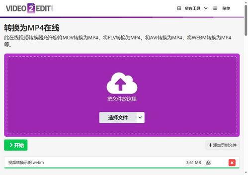 webm视频,捕捉每一帧的精彩瞬间