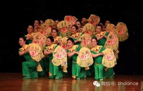 中老年舞蹈视频大全,中老年舞蹈视频大全精选集锦