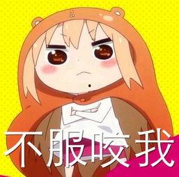 我的图片大全,我的图片大全概览