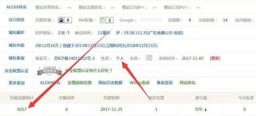 撸波视频,揭秘电竞选手的激情与技巧