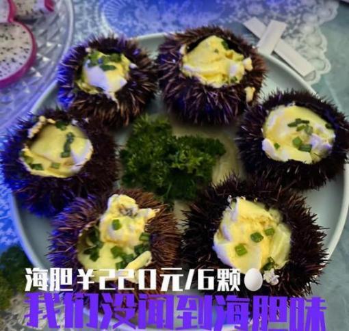 海胆视频,海胆的神秘世界