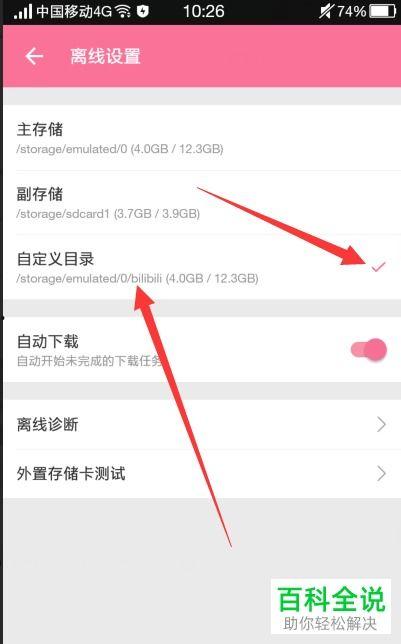 下载bilibili的视频,下载背后的精彩瞬间