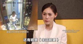 杨慧视频,揭秘生活智慧与人生哲理