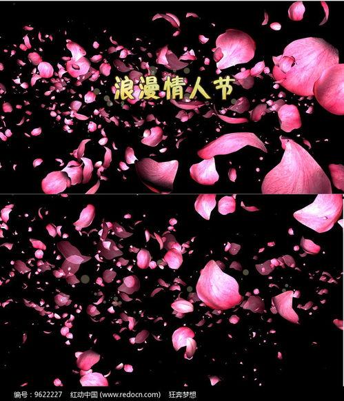 情人节视频,情人节甜蜜视频集锦回顾