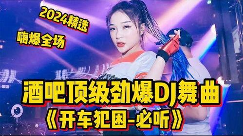 中文dj舞曲视频,中文DJ舞曲视频盛宴