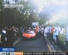 车撞狗视频,车撞狗事件引发社会关注