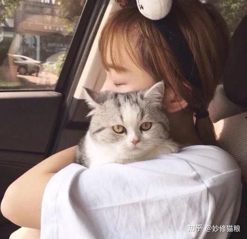 微信人头像图片大全,海量精选头像图片大盘点