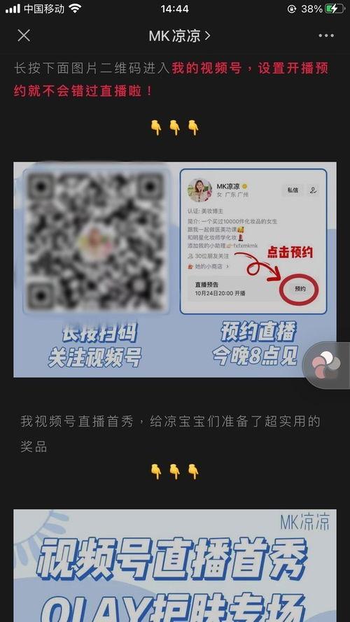 mk 视频,揭秘其独特魅力与精彩瞬间